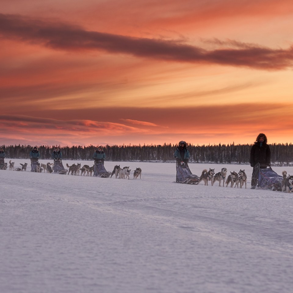 Huskyspuren im Reisa-Tal